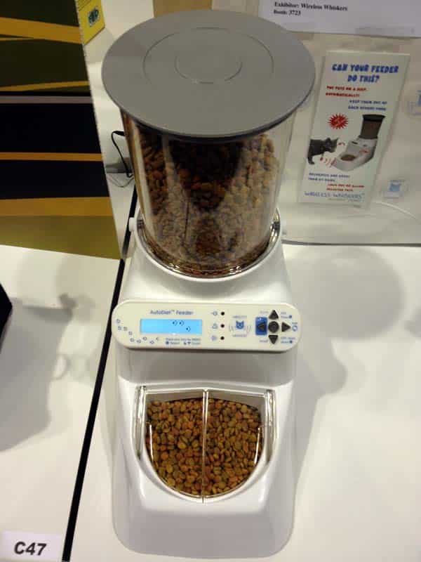 12 New "My Cat Needs That Now!" Products - Catster