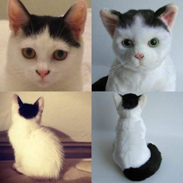 cat cuddle clone