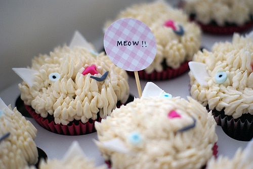 what does catnip do to dogs cat cupcakes the cutest cupcakes you ll see catster what does catnip do to dogs cat cupcakes the cutest cupcakes you ll see catster