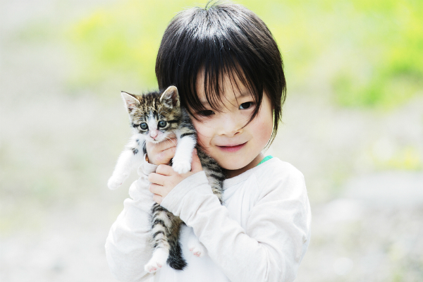 and cat kid cats and www pixshark images galleries with a bite and cat kid cats and www pixshark images galleries with a bite