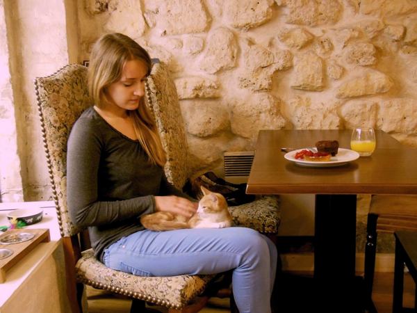 Paris Le Caf Ef Bf Bd Des Chats Paris Le Caf Ef Bf Bd Des Chats