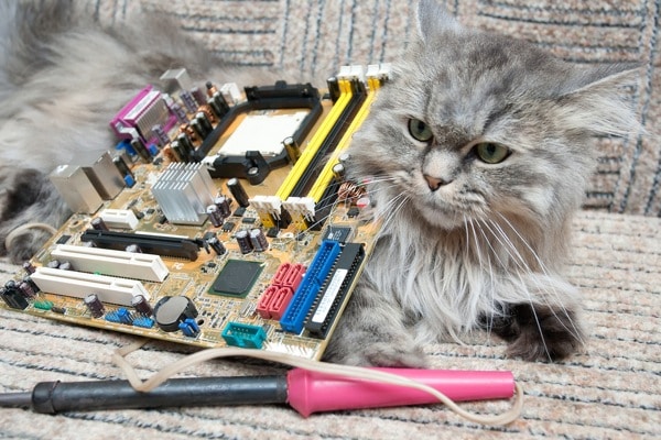 http://www.catster.com/wp-content/uploads/2015/06/600px-computer-repair-cat.jpg
