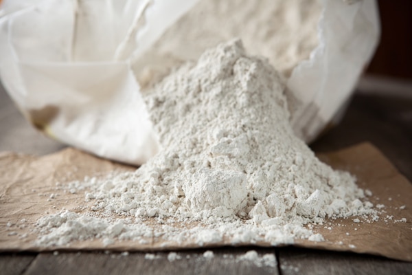 Garlic In Cat Food To Kill Fleas Garlic In Cat Food To Kill Fleas