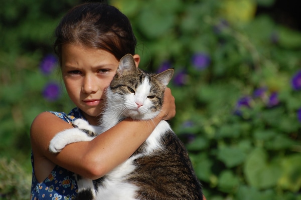 10 Good Cat Causes to Support During the Holiday Season ...