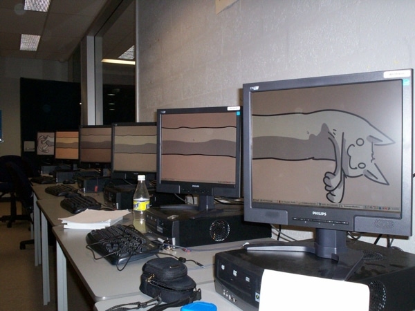 8 reasons why longcat is my favorite internet cat ever catster 600px longcat monitors 8 reasons why longcat is my favorite internet cat ever catster