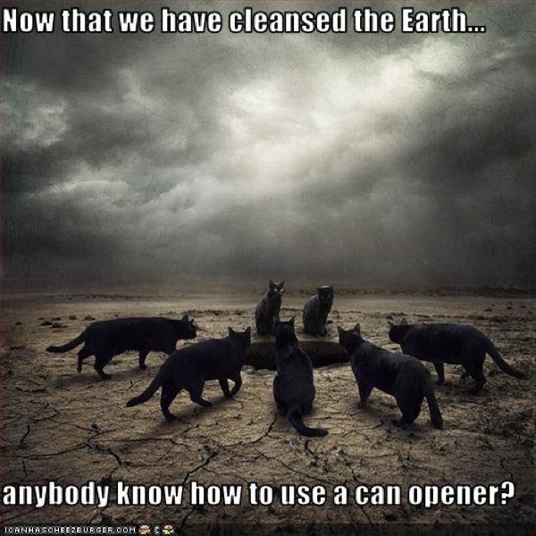 8 reasons why longcat is my favorite internet cat ever catster 600px now cleansed earth 8 reasons why longcat is my favorite internet cat ever catster