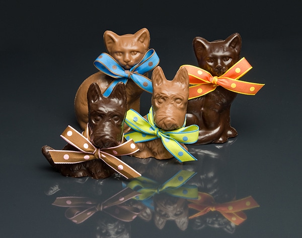 Galler Dark Chocolate Cats Tongues In A Box Galler Dark Chocolate Cats Tongues In A Box