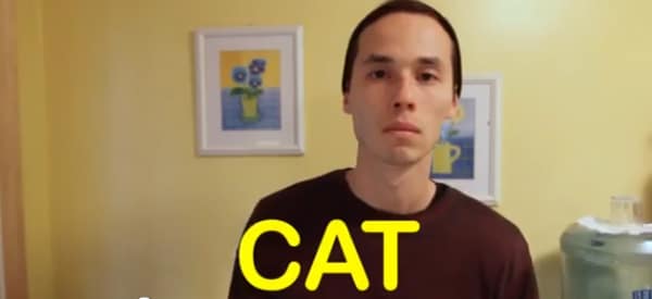 friend vs cat friend are you a cat friend or are you a friend catster friend vs cat friend are you a cat friend or are you a friend catster