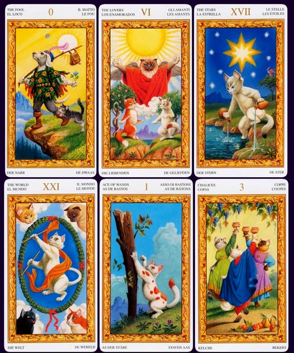 Image result for cat  tarot cards