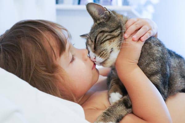 Hasil gambar untuk cat kiss owner