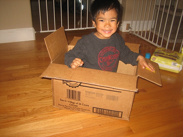 Prove That Kids Can Have Toy Cat Prove That Kids Can Have Toy Cat