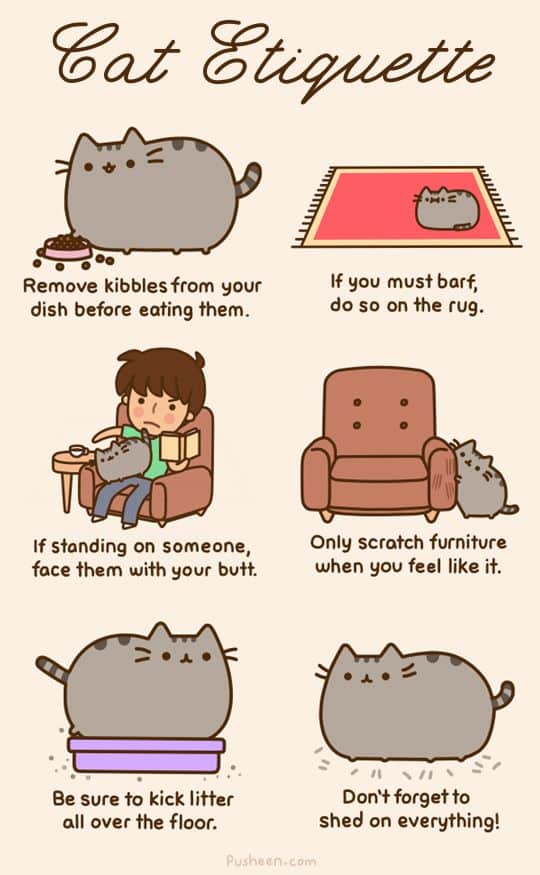 pusheen cat birthday