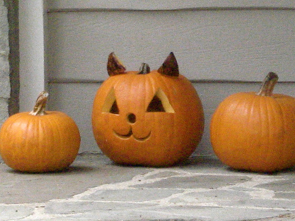 21 Incredible Cat Pumpkin Carvings - Catster