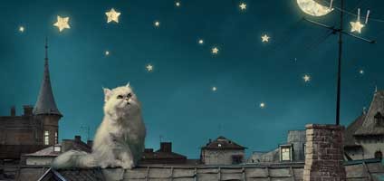 Kitty Horoscope: February Belongs to Aquarius Cat, the Cool Cat of the