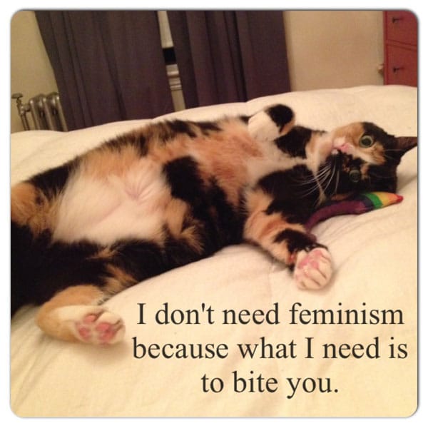 cats-against-feminism-4.jpg