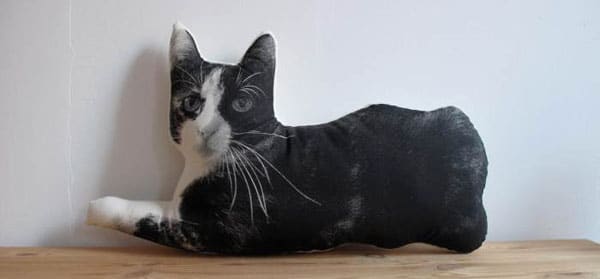 Win a Broderpress Custom Pillow of Your Cat - Catster