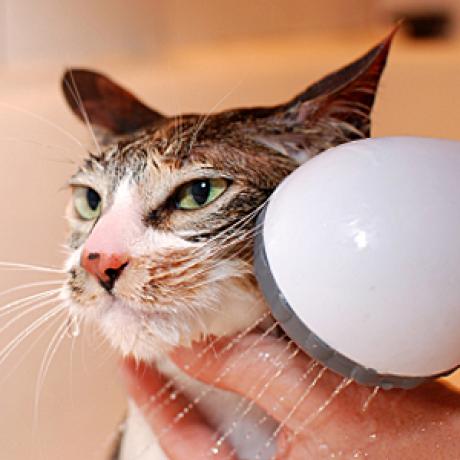 Cat Grooming Mesh Bath Bag Cats Cleaning Washing Bags For Pet Bathing Nail Trimming Injecting