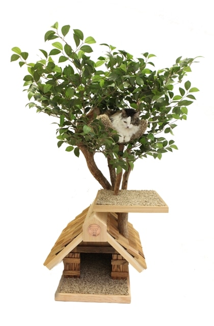 Climbing Toys For Indoor Cats Climbing Toys For Indoor Cats