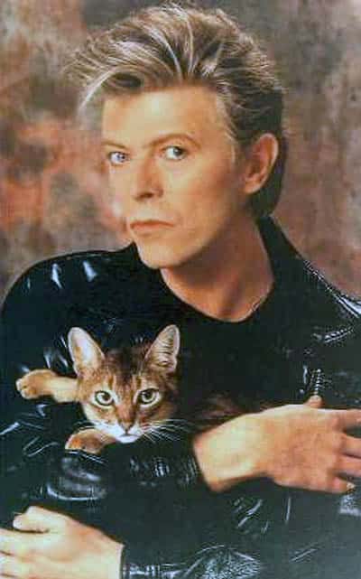 Thursday 13: Thirteen Famous Cat Guys - Catster