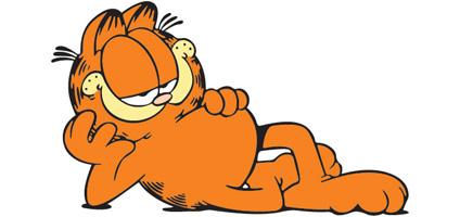 cat picture