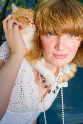 when is a considered a senior when is a cat considered a senior catster when is a considered a senior when is a cat considered a senior catster