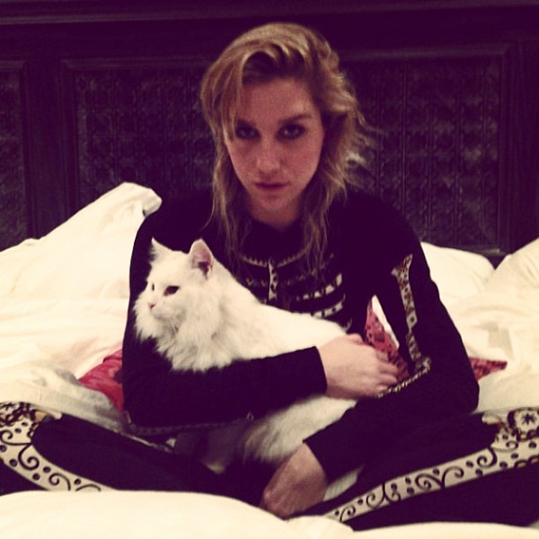 Photo of Ke$ha & her Cat