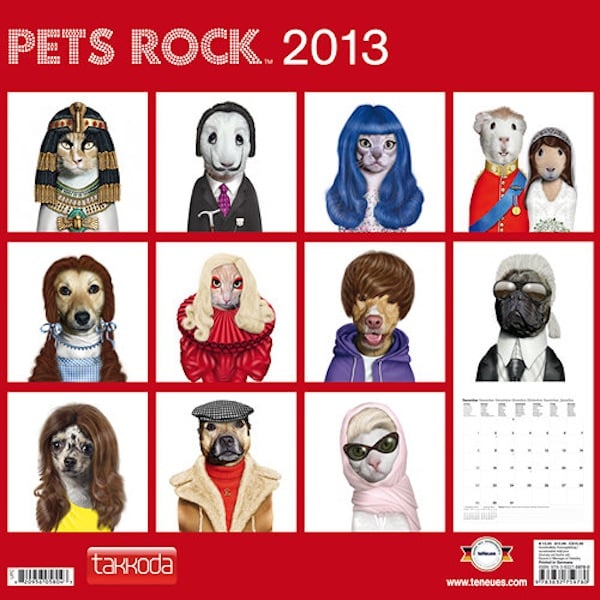 10 Amazing Cat Calendars for 2013 Catster