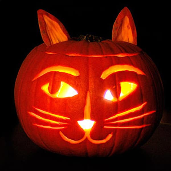 6 CatThemed JackoLantern Ideas for You and Your Kids Catster
