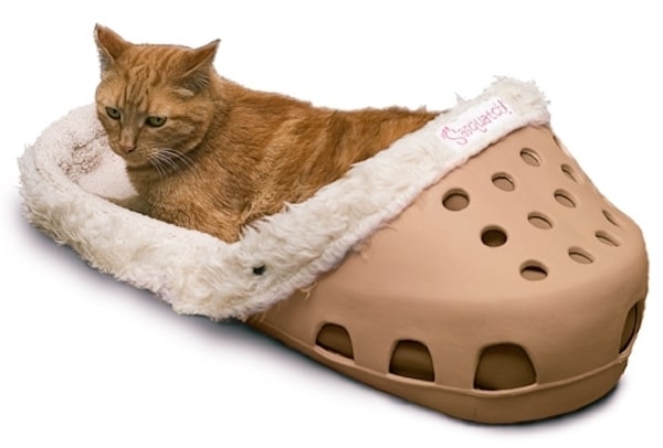Win a Cat Bed that Looks Like a Giant Crocs Sandal from Sasquatch Catster