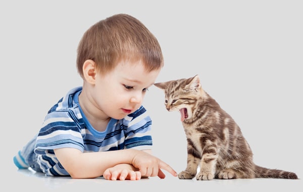 Fun & Info @ Keralites.net