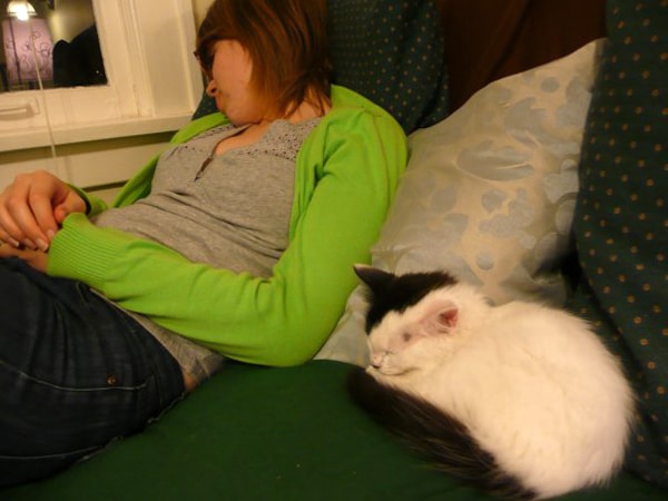 Cat Is Fine But Eats Less Cat Is Fine But Eats Less