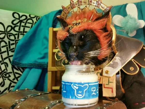 3-lon-lon-milk-fawkes