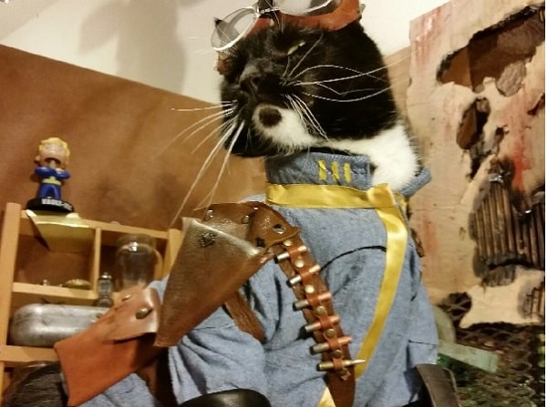 8-fawkes-fallout