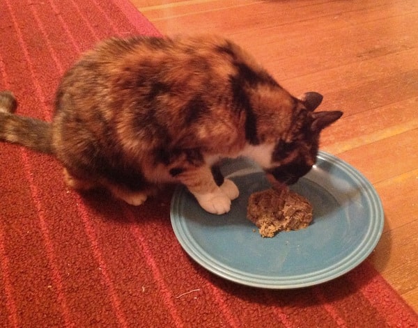 eating-brandy