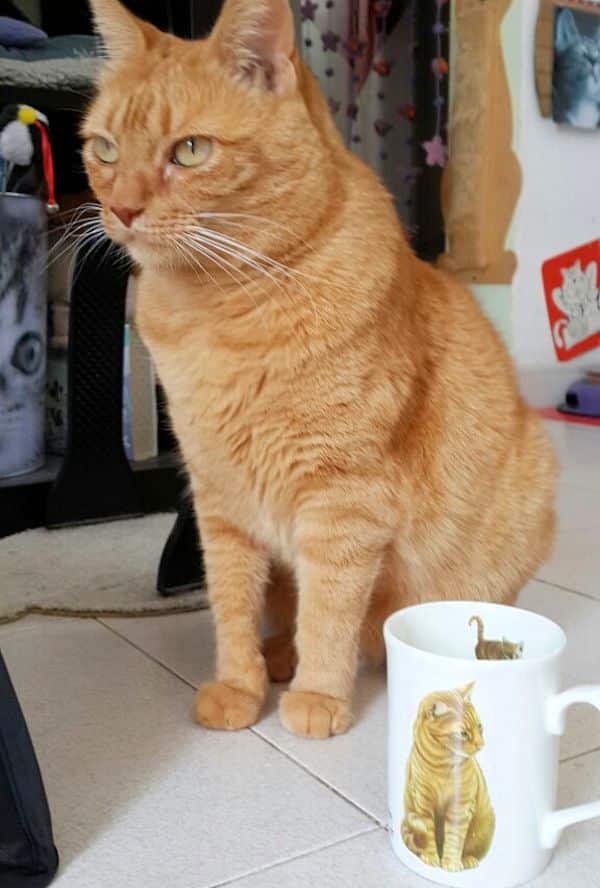 Ruby and her cup