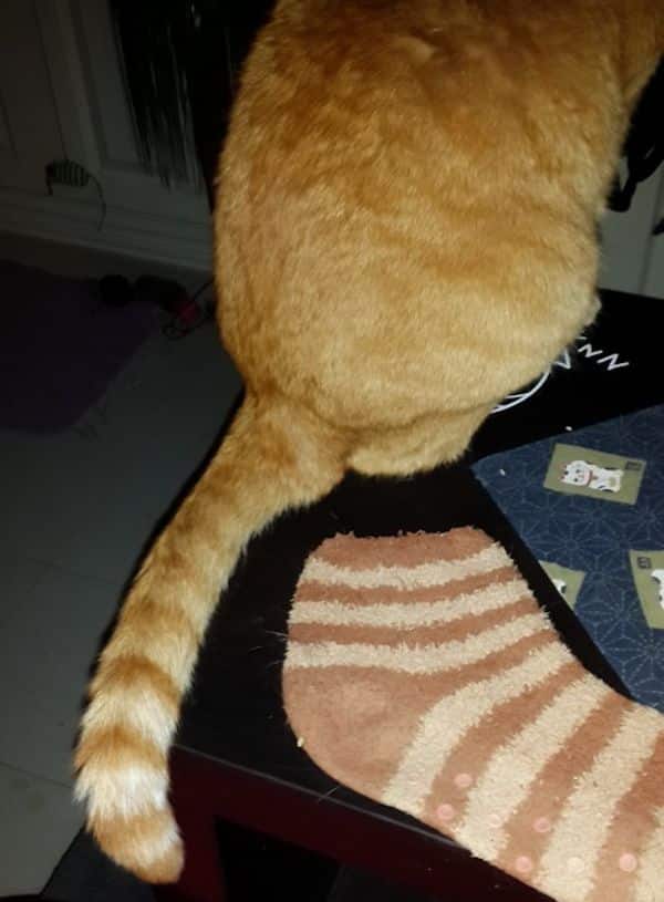 ruby-socks