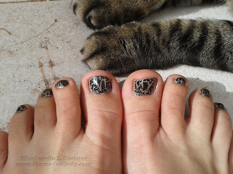 spider-tabby-nails