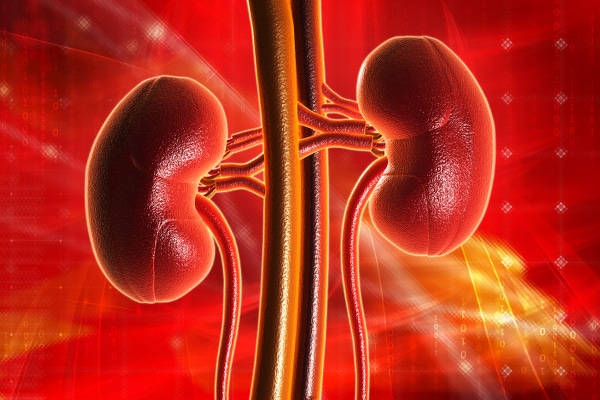 Management of chronic kidney disease in adults