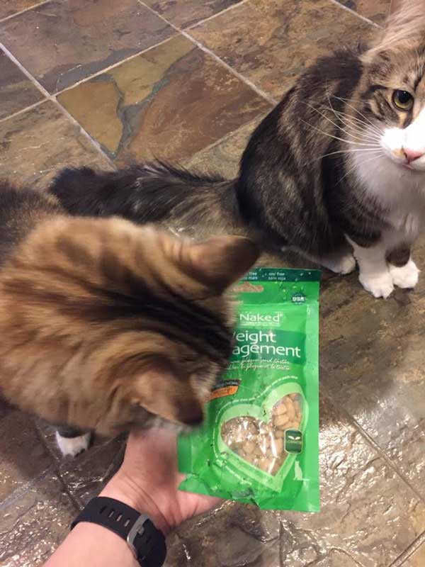 Get Naked Get Naked Weight Management Natural Cat Treats 