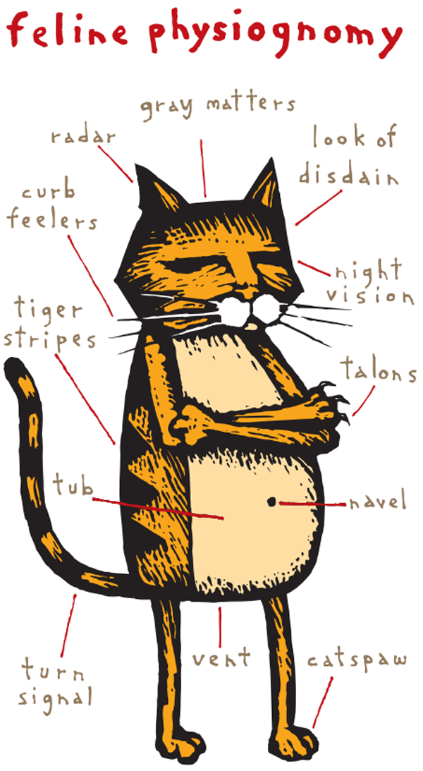 whos smarter cats or dogs who s smarter cats or dogs catster whos smarter cats or dogs who s smarter cats or dogs catster