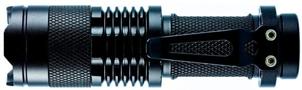 Keep It Clean: How to Get Rid of Cat Urine Stink and ...