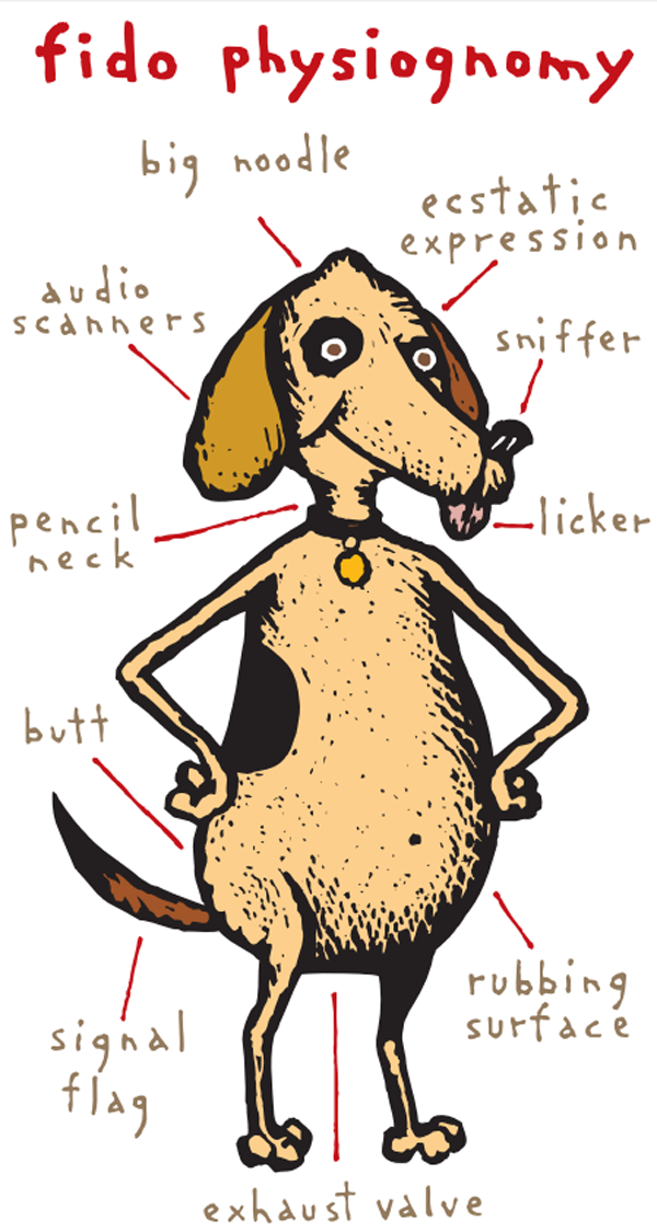whos smarter cats or dogs who s smarter cats or dogs catster whos smarter cats or dogs who s smarter cats or dogs catster