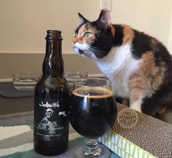 CatsOnTap2.png