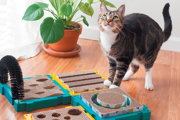 Puzzle Scratchers.