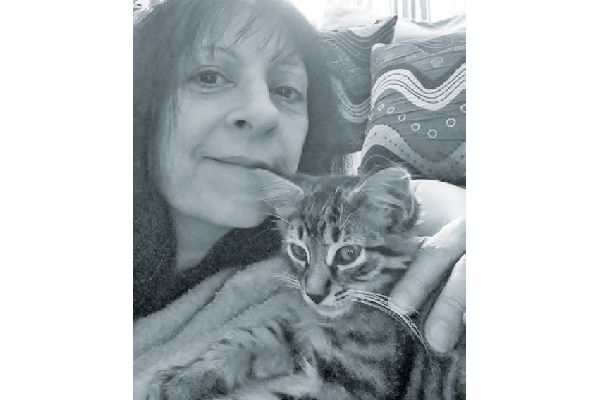 Pam and her cute quartet will receive a six-month supply of cat litter and one bag of cleanprotein kibble.