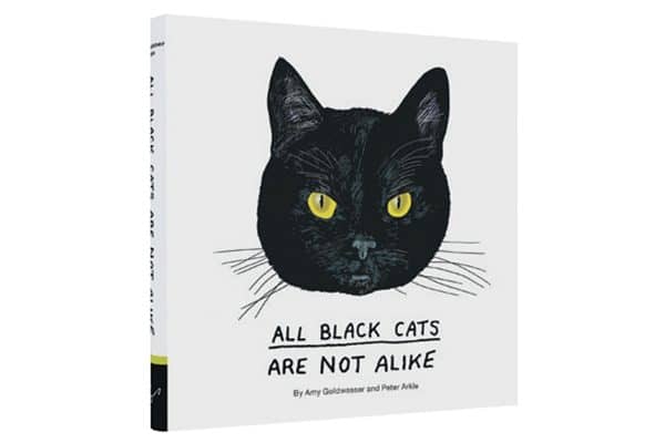 All Black Cats Are Not Alike by Amy Goldwasser. Photography ©Chronicle Books.