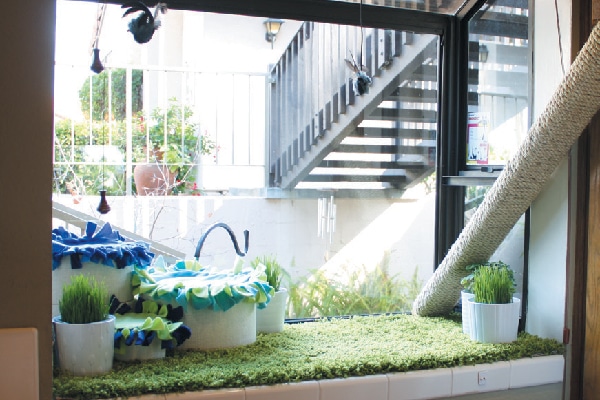 Decorate an existing window for your cat — after.