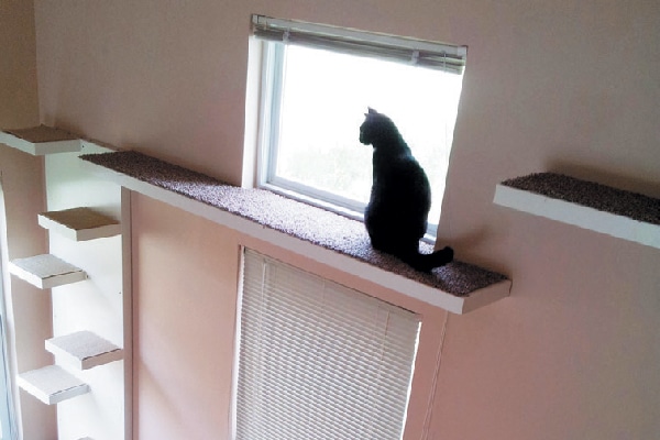 Hang a simple shelf.