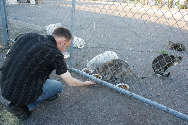 Peter is part of a small team that cares for feral cats and gets them TNRd.