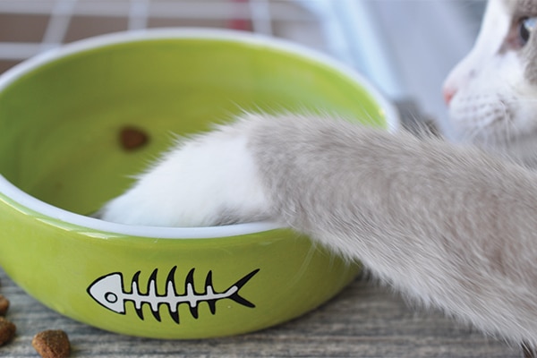 When shopping for food, always read the labels carefully! Photography by: ©Valentina Zavrazhina | Getty Images